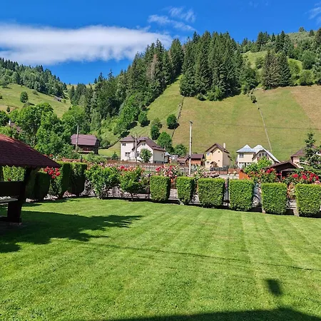 Valea Dorului Guest House-3